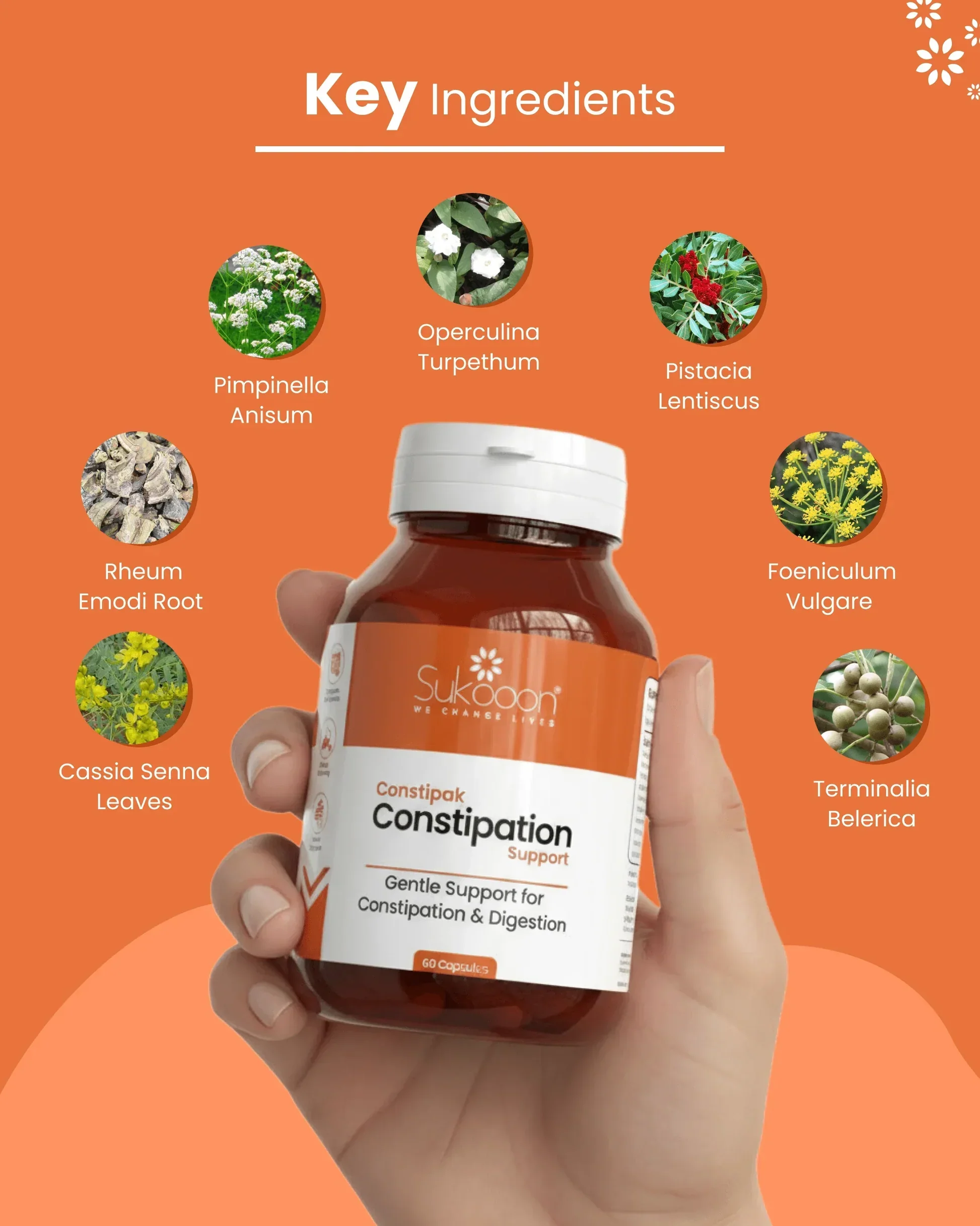 Constipak | Daily Digestive Care - Image 4